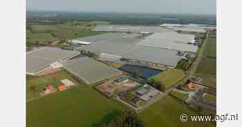 "Vergunningenproblematiek motor achter consolidatiegolf"