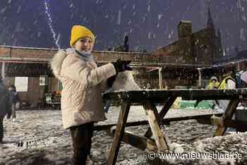 IN BEELD. Sneeuwpret in Ieper