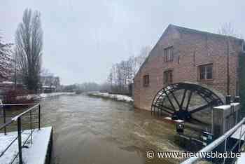 Demer nadert alarmdrempel: “Hoogste waakzaamheid, kritieke overstromingen niet uitgesloten”