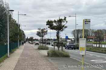 Werken zorgen tot eind april voor verkeershinder in Prinses Elisabethlaan