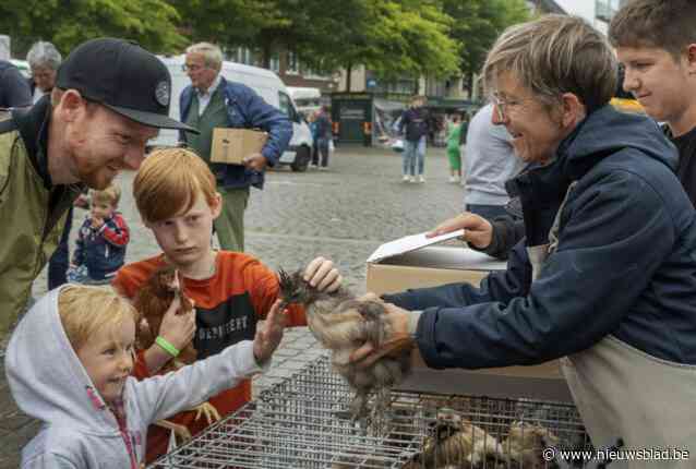 Gemeentebestuur start juridische procedure om dierenmarkt toch elke week te laten plaatsvinden: “Nooit betrokken bij beslissing van minister”