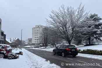 Verkeer loopt stroef maar schade blijft beperkt: “Dankzij extra zout konden vastzittende vrachtwagens wegraken”