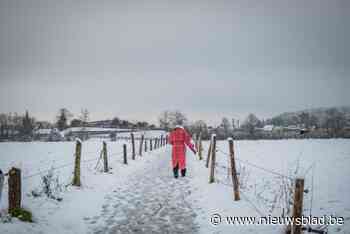 FOTO. Sneeuwval zorgt voor prachtige witte landschappen en heel wat pret