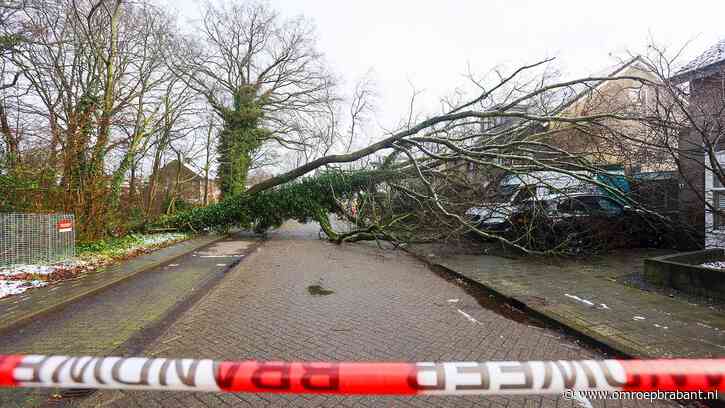 Auto en busje bedolven onder boom, huis flink beschadigd