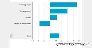 Huishoudelijke consumptie groeit met 0,8% in november