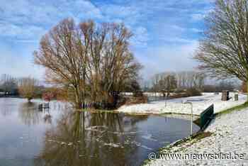 Grondwater staat nergens hoger dan in Limburg