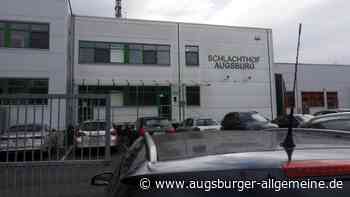 V-Partei erstattet Strafanzeige gegen Augsburger Schlachthof