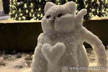 Sneeuwman? In Wervik gingen ze voor een kunstige sneeuwkat