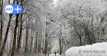 Schnee in Hannover: Das sind die schönsten Fotos
