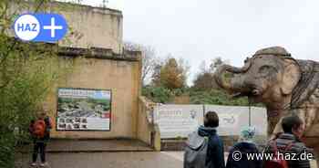Zoo Hannover: Elefantenhaus mit Kuppel wird gebaut - Neue Wege für Sambesi Nord