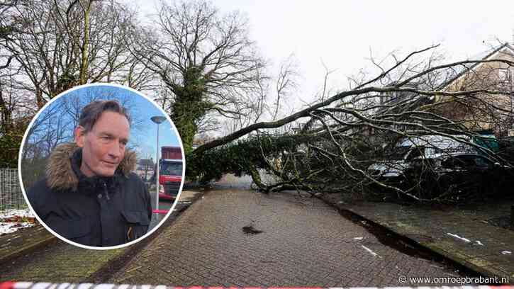 Auto en busje bedolven onder omgevallen boom: 'Maakten ons al jaren zorgen'