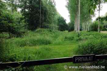 “Kaakslag voor elke Noord-Limburger”: ook nieuwe minister vindt omleidingsweg door De Holen onmogelijk