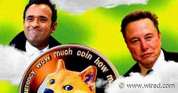 Demystifying the Department of Government Efficiency