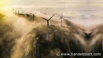 Geldanlage: Worauf ETF-Anleger bei nachhaltigen Aktienfonds achten sollten