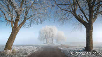 How to Sharpen Images in Lightroom With Precision