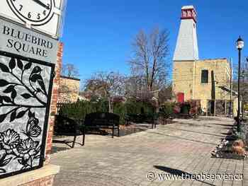 Funding announced for downtown Watford improvements