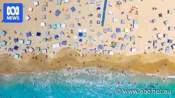 Is it time to draw a line in the sand on beach cabanas?