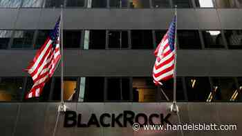 Vermögensverwalter: Auch Blackrock verlässt Klimaallianz der Finanzbranche