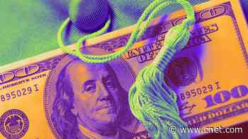 I'm a Student Loan Expert. Borrowers Should Do These 6 Things Before the White House Transition