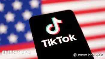 TikTok to make final plea at Supreme Court against US ban