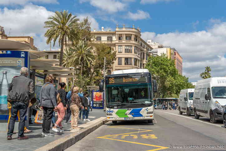 100 neue Elektro-Busse für Mallorca