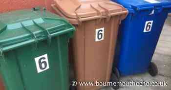 Businesses urged to review waste collections ahead of new rules