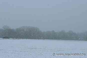 FOTO. Kampenhout genoot van de sneeuw