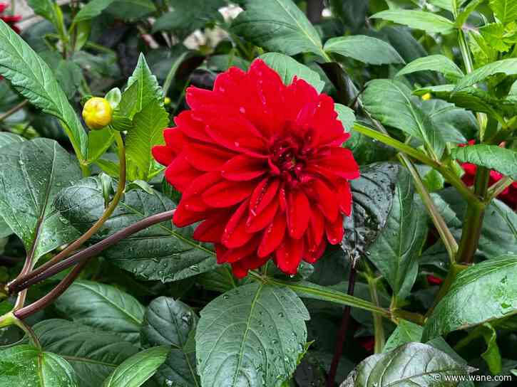 Watch where you step! Floor is Lava exhibit to open
