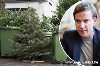 “Niet voor herhaling vatbaar”: Gents stadsbestuur neemt afstand van kerstboom-tip van eigen stadsdiensten