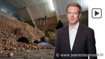 Kwaliteit van de uien is bepaald geen zekerheid