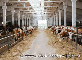 Studenten zetten op universiteitsboerderij koeienstront om in energie