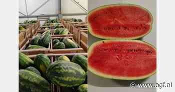 "Mauritaans watermeloenseizoen eerder van start"