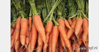 Kan wortel de behandeling van diabetes verbeteren?