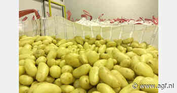 "Veel animo voor areaaluitbreiding, maar geen overaanbod verwacht door gebrek aan pootgoed"