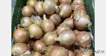 "Vrijhandelsakkoord maakt Nieuw-Zeelandse uien aantrekkelijker voor EU-importeurs"