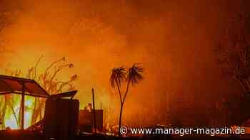 Los Angeles Feuer: Mindestens 10 Tote, 10.000 Gebäude zerstört