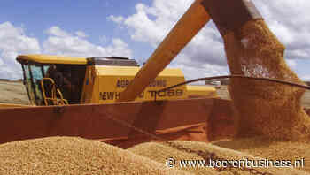 Soja is niet wat de teler verwacht na nat seizoen