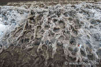 Morning Notes for January 10, 2025