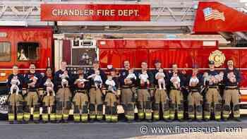 Photo of the Week: New 'deliveries' keep Ariz. firefighters busy