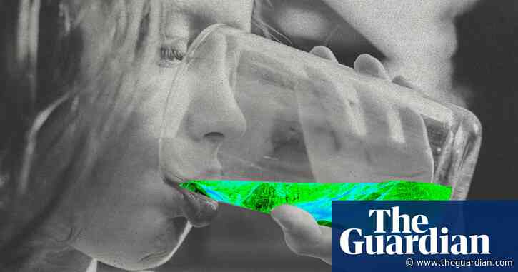 Early ‘forever chemicals’ exposure could impact economic success in adulthood – study