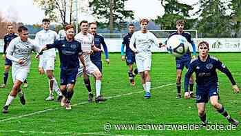 WFV-Reform: So sehen es die Vereine aus dem Nagolder Süden