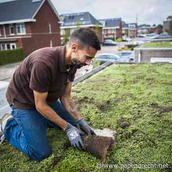 Papendrechters kunnen nu profiteren van groendakactie: Aanmelden mogelijk tot 1 maart