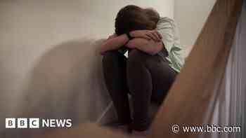Domestic violence service could be extended