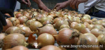 Verwerkingscapaciteit werkt uiensector nu tegen