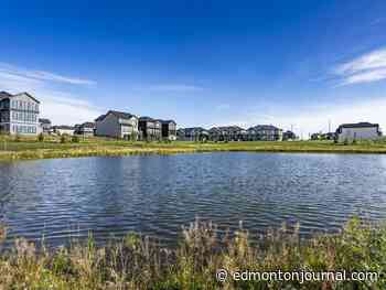 Take a peek at what's ahead for Rohit Group in 2025