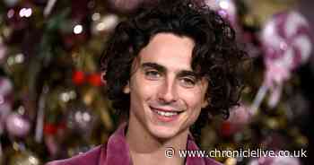 Wonka named biggest home entertainment movie of 2024 in UK