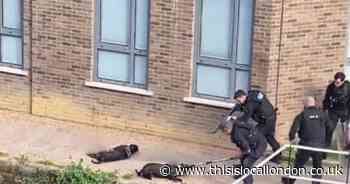 Police officer who shot and killed Cana Corsa dogs after attack cleared