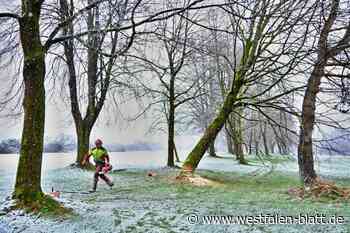 Kahlschlag auf Golfplatz in Herford: Das soll mit dem Verein passieren