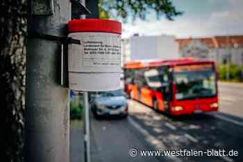 Stickstoffdioxid-Belastung: Fahrverbote sind in Paderborn kein Thema