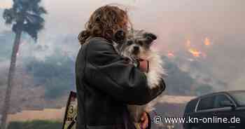 Folgt auf das Feuer eine Finanzkrise?